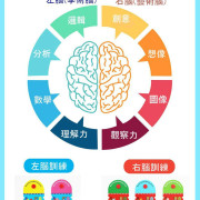 Braintraining Matching Game |邏輯數學觀察力訓練|平行進口