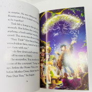 【全彩兒童初級英文小說】迪士尼仙子 Chapter Book（6 Books）- Pixie Hollow Adventures