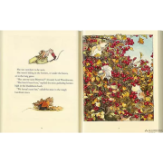 The Complete Brambly Hedge by Jill Barklem Hardback | 40周年特別版