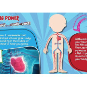 【Fusion】What's Inside Me? | 6本 | Bones Heart Muscles Lungs Stomach Brain |兒童科學