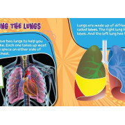 【Fusion】What's Inside Me? | 6本 | Bones Heart Muscles Lungs Stomach Brain |兒童科學