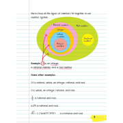 【學霸筆記】Everything You Need to Ace 4本 |  中學練習Notes | 搶分秘笈 | 趣味學習 | 優等生筆記系列