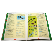 Usborne English For Writers Collection 從小學到中學的寫作必備書 | 英文寫作練習｜小學練習｜初中練習｜